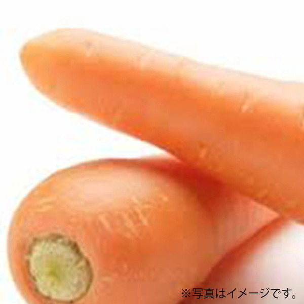[フーズメーカー] 人参（1本） ～ネットデパ地下