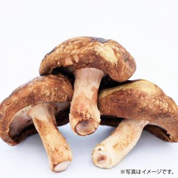 [フーズメーカー] 生椎茸（1パック） ～ネットデパ地下