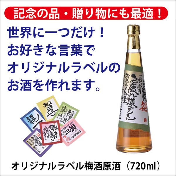 [酒のしもがわ]オリジナルラベル梅酒原酒（720ｍｌ）