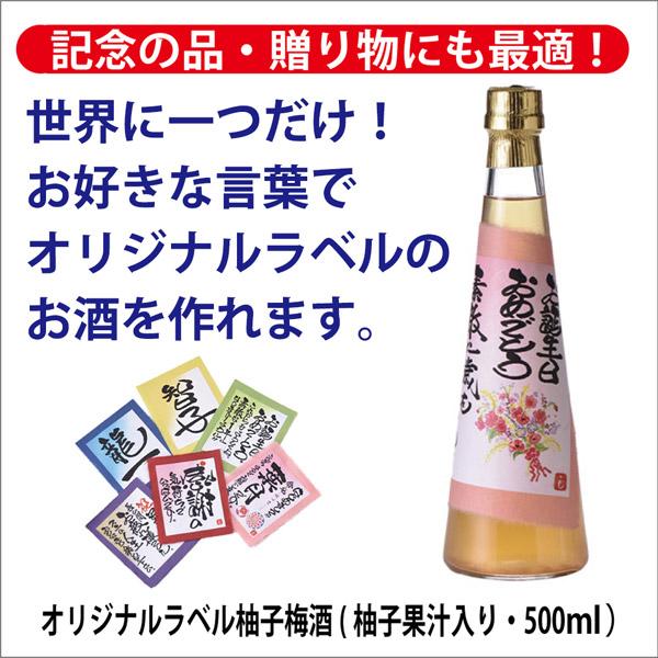 [酒のしもがわ]オリジナルラベル柚子梅酒(柚子果汁入り・500ｍｌ）