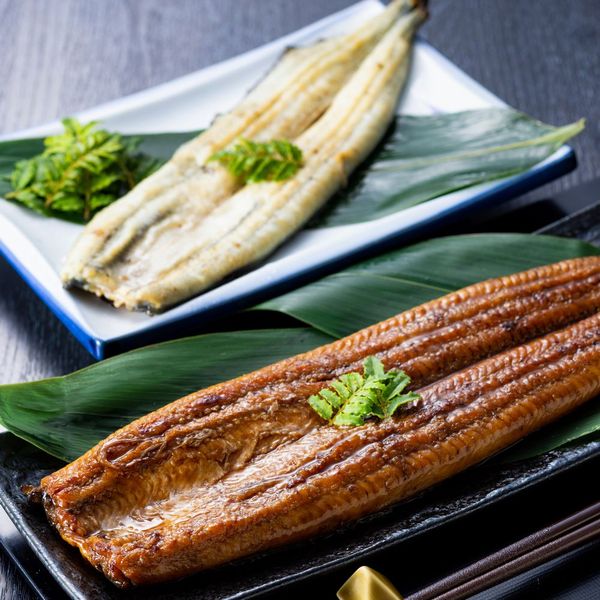 浜松・浜名湖　うなぎ贅沢セット　3人前 [U910111]