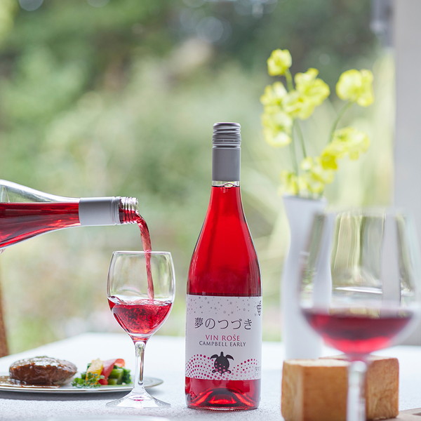 [ぶどうの樹] ぶどうの樹自社醸造のワインお楽しみ３本セット