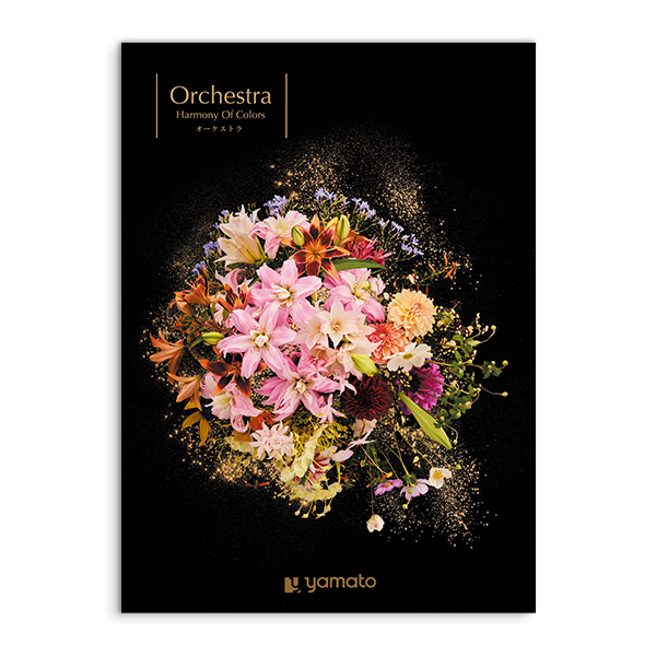 [Best　Collection]オーケストラ