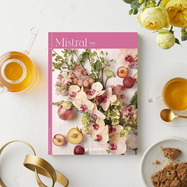 [Ｍｉｓｔｒａｌ(ミストラル)] セージ