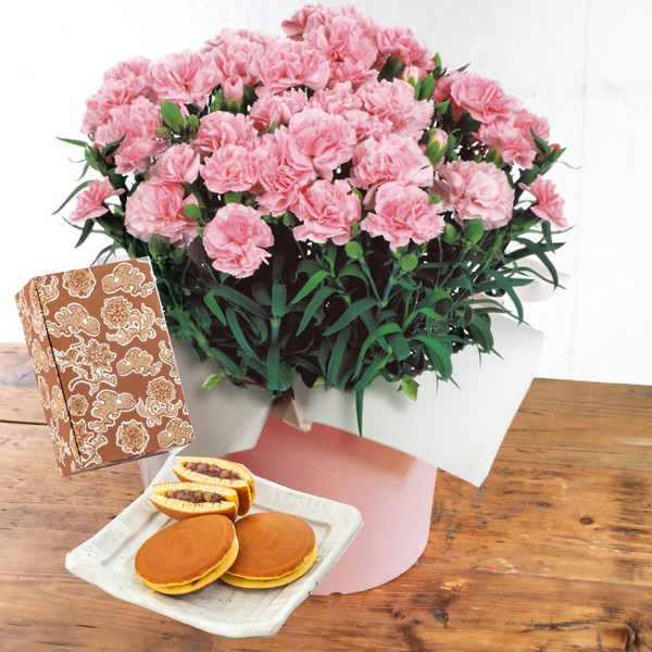 【母の日・5/5～5/10届け】 カーネーション「感謝のきもち」ピンク・長﨑堂「栗入りみかさ」セット