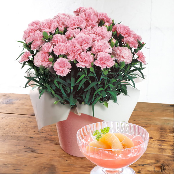 【母の日・5/5～5/10届け】 カーネーション「感謝の気持ち」ピンク・銀座トトキ監修「山形県産白桃のゼリー」セット