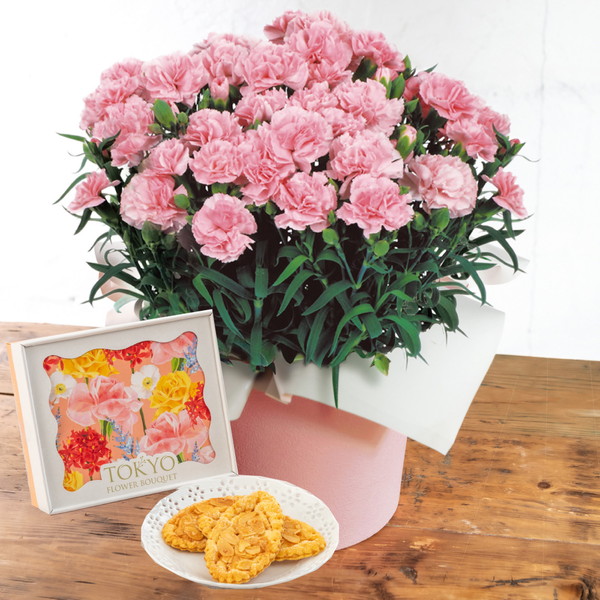 【母の日・5/5～5/10届け】 カーネーション「感謝の気持ち」ピンク・東京フラワーブーケ「リーフパイ」セット