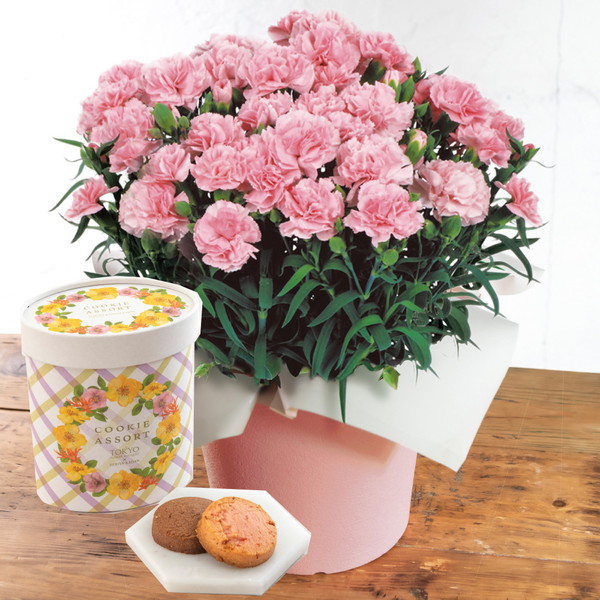 【母の日・5/5～5/10届け】 カーネーション「感謝の気持ち」ピンク・東京フラワーブーケ「クッキーアソート」セット