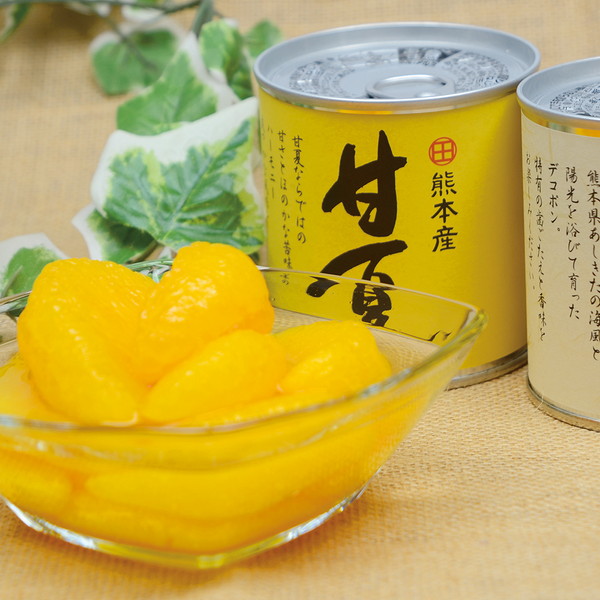 [JAあしきた] デコポン・甘夏缶詰セット
