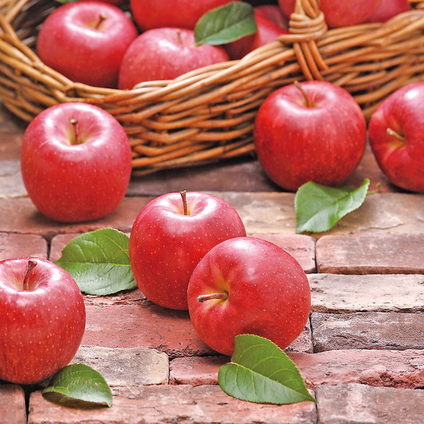 [青森板柳町りんごワーク]青森県産 サンふじりんご