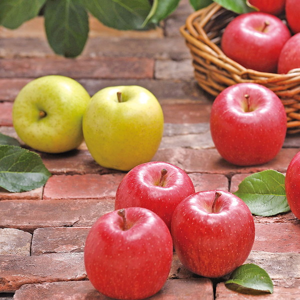 [青森板柳町りんごワーク]青森県産 りんご3種詰合せ