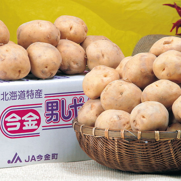 今金産 男爵いも
