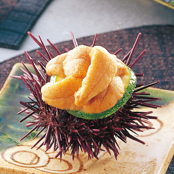 天草 殻出し生うに2本組