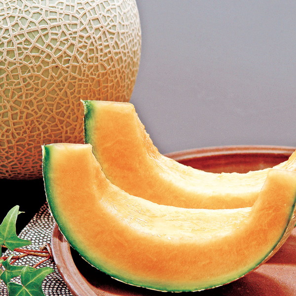 熊本県産 クインシーメロン