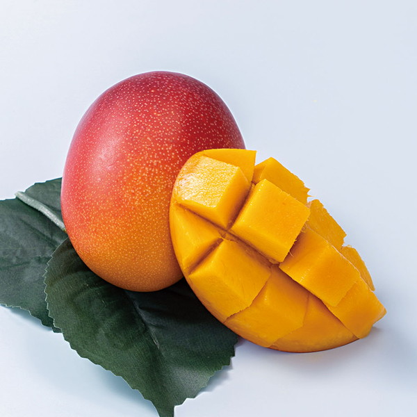 完熟宮崎マンゴー