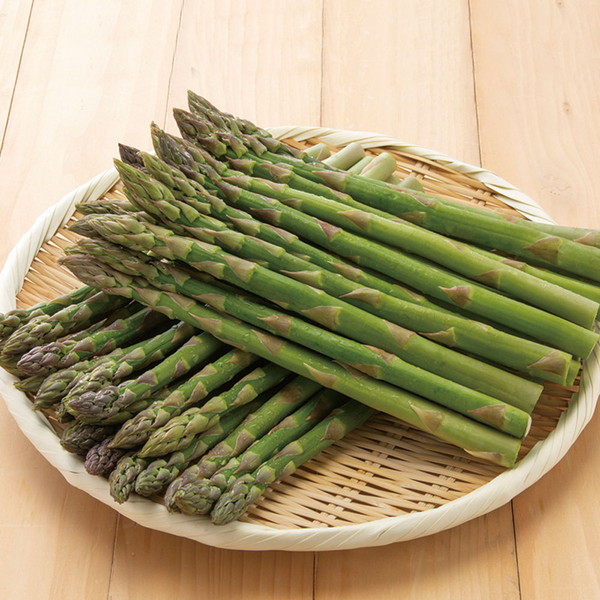 【お買い得】 北海道 グリーンアスパラ 1.5kg