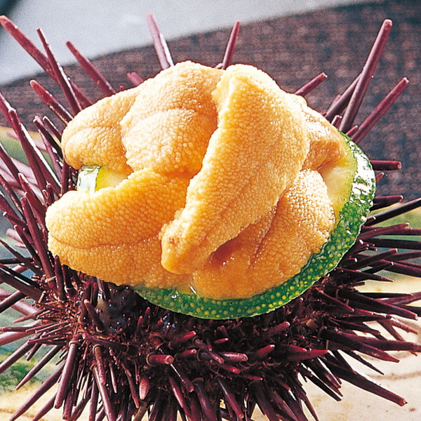 天草 桜うに（殻出し生うに）2本組