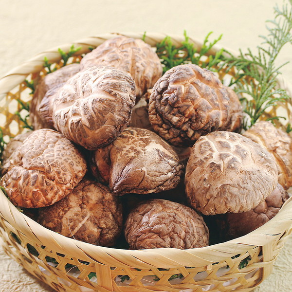 九州産 乾椎茸 どんこ