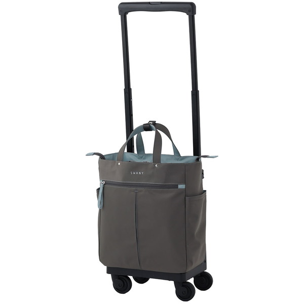 スワニー D-685 グイ L21 グレー