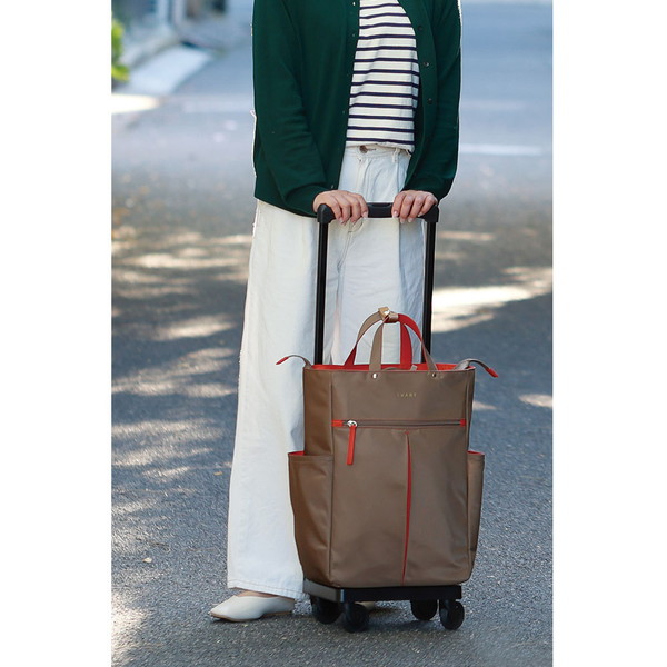 スワニー D-685 グイ M18 ベージュ