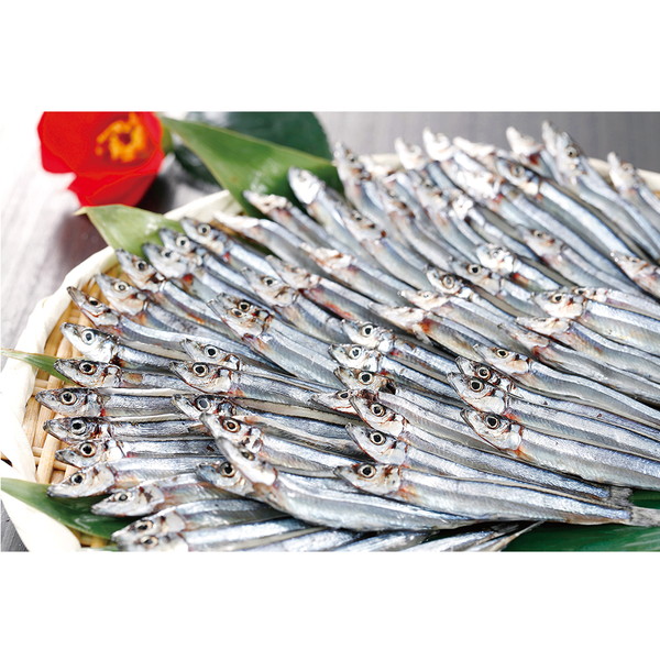 [馬場水産] きびなご天日干し