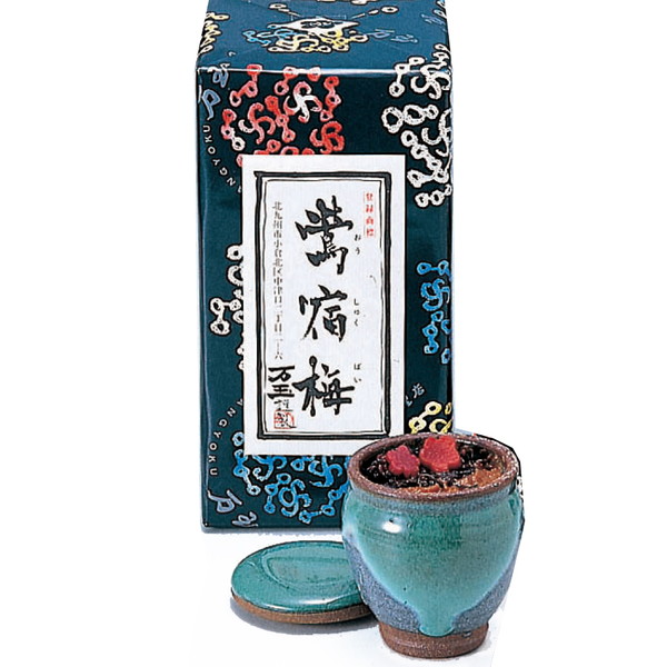 [万玉]鶯宿梅2個