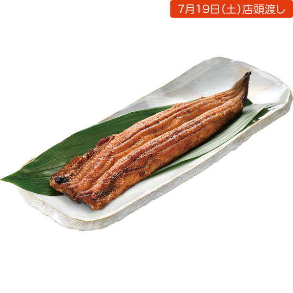 【店頭受取】[川淀] 手焼き活うなぎ蒲焼（中、1尾）