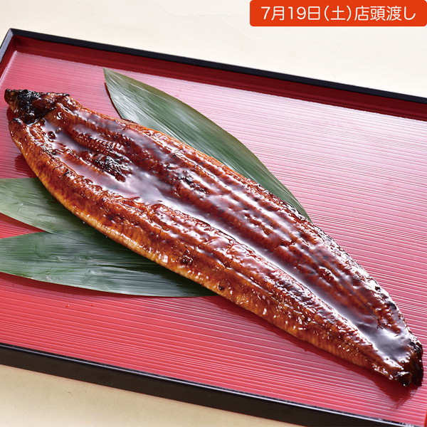 【店頭受取】[鮮魚丸福] うなぎ蒲焼（ 大、1尾）