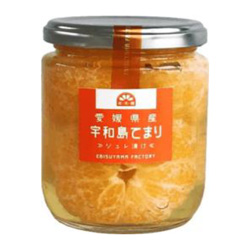 げんき本舗　宇和島てまりジュレ漬け　940円