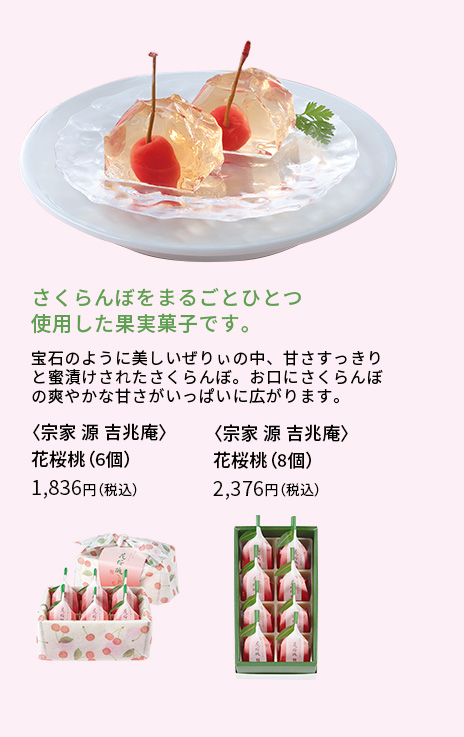 [宗家 源 吉兆庵] 花桜桃
