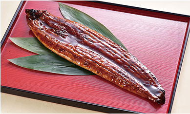 ＜鮮魚丸福＞鹿児島県産 うなぎ蒲焼 （大、1尾）