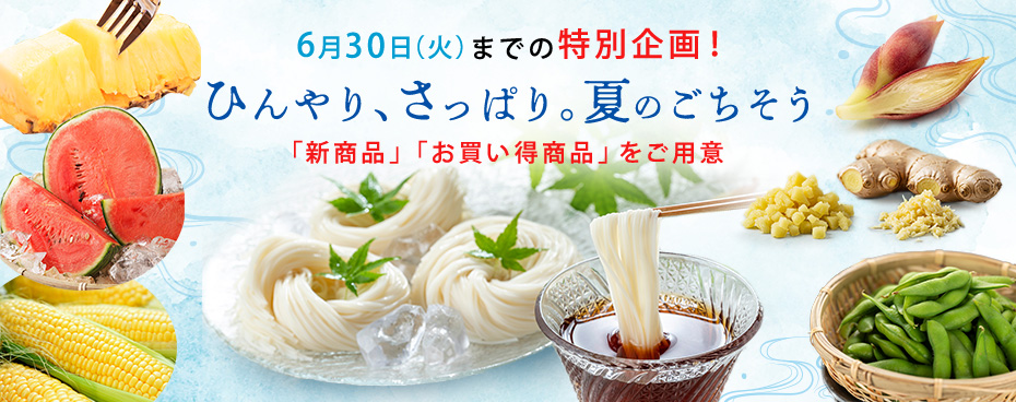 6月30日までの限定企画