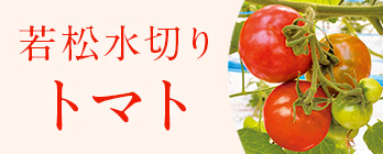 季節の野菜_とまと