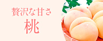 旬のフルーツ_桃
