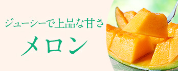 旬のフルーツ_メロン
