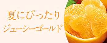 夏のフルーツ_柑橘