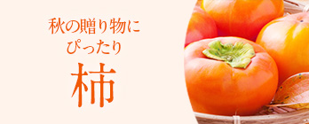 季節のフルーツ_柿