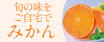 旬のフルーツ_みかん