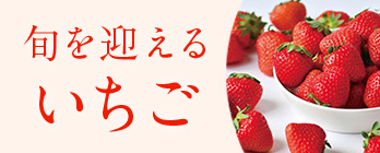 旬のフルーツ_いちご