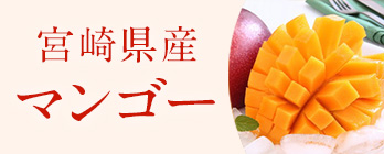 旬のフルーツ_マンゴー