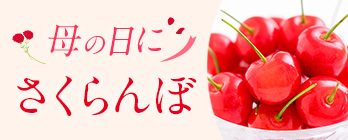 旬のフルーツ_さくらんぼ