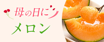 旬のフルーツ_メロン