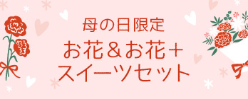 母の日お花＆お花＋スイーツセット