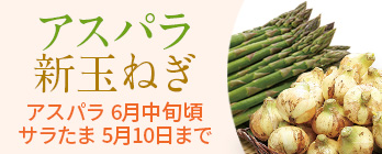 旬の野菜特集