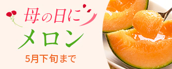 旬のフルーツ_メロン