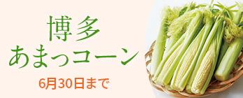 旬の野菜_ヤングコーン