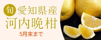 季節のフルーツ_河内晩柑