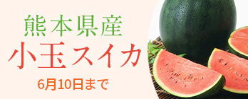 季節のフルーツ_小玉スイカ