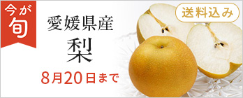 旬のフルーツ_梨