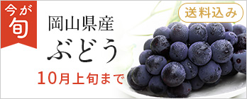 旬を愉しむ_ぶどう